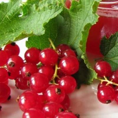 How to make redcurrant jelly